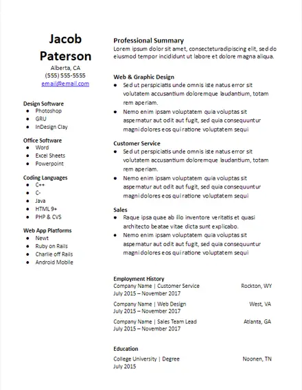 Functional Professional Summary Resume Template