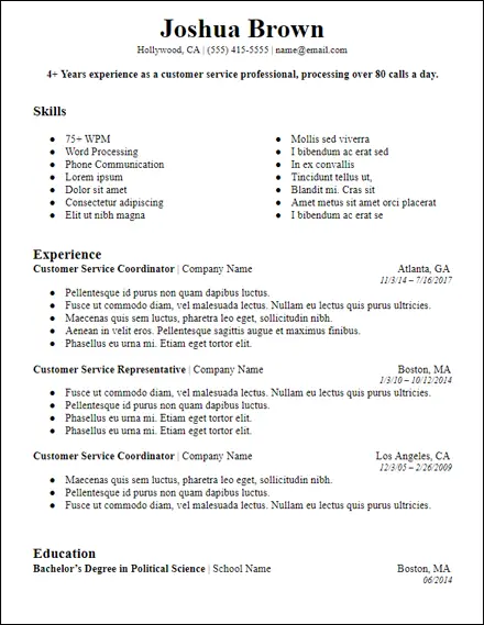 bolded professional summary microsoft word resume template